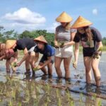 Yogyakarta: Javanese Village Life and Rice Farming Tour - Practical Considerations and Tips
