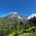 Yogyakarta: Mount Merapi National Park Trek with Pickup - Practical Details: What to Know Before You Go