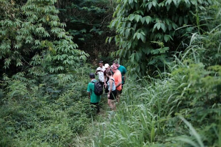 Yogyakarta : Mount Merapi Soft Trek and Botanic Village Tour - What Makes This Tour Stand Out?