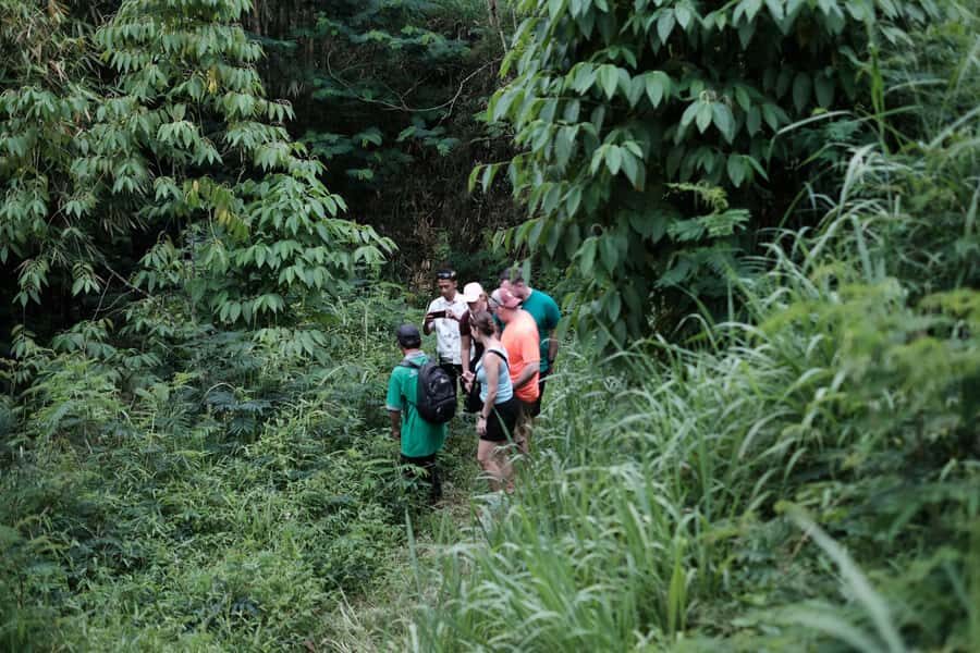 Yogyakarta : Mount Merapi Soft Trek and Botanic Village Tour - What Makes This Tour Stand Out?