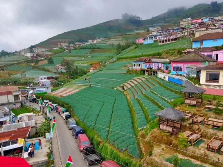 Yogyakarta : Nepal Van java & Kedung Kayang waterfall trip - Who Should Consider This Tour?  