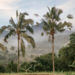 Yogyakarta : trip to Pindul cave + Timang beach + Guide - Final Thoughts