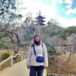 Yokohama Private & Customizable Tour - All-in-One Experience - What to Expect from Your Yokohama Tour