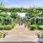 Yokohama Then and Now Walking Tour of the Port Opening Era - The Experience from the Guide’s Perspective