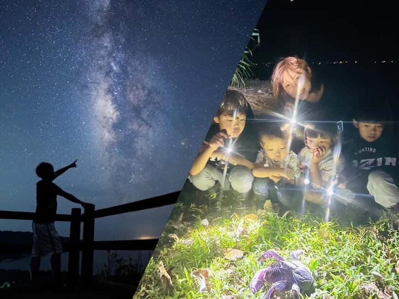 Yonaguni Island: Stargazing and Jungle Night Tour - The Itinerary: How the Evening Unfolds