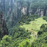 Yuanjiajie Avatar and Tianzi Mountain and Rice Field Village Tour - Practical Details and Tips