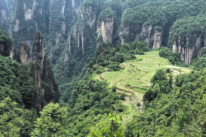Yuanjiajie Avatar and Tianzi Mountain and Rice Field Village Tour - Practical Details and Tips