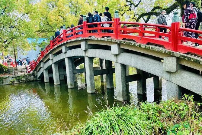 Yufuin Kinrin Lake Sea Hell Hot Springs Kyushu Zoo from Fukuoka - Final Thoughts
