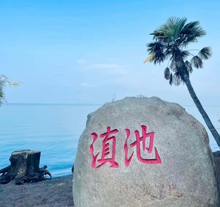 Yunnan: Dianchi Lake + Yunnan Impression Show One-Day Tour - An In-Depth Look at What You Can Expect