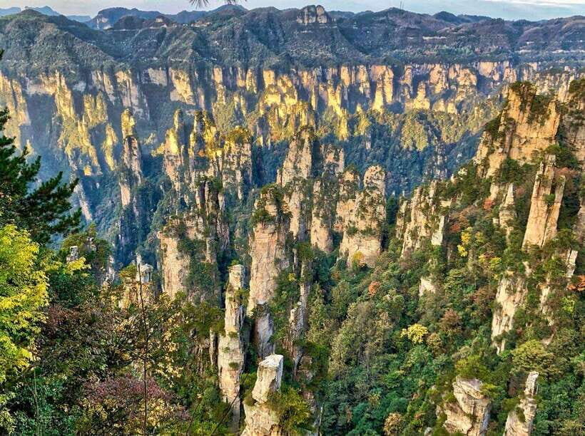 Zhangjiajie: Highlights Tour with Glass Bridge & Cable Car - Who Is This Tour Best For?