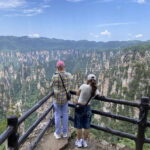 Zhangjiajie National Forest Park: Private Tour and Transport - The Bailong Elevator: A Record-Breaking Marvel