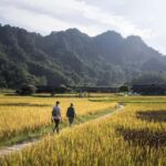 Zhangjiajie: Tujia Village & Sandstone Art Workshop Tour - An In-Depth Look at the Tour