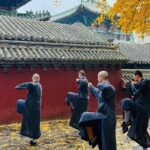 Zhengzhou Private Day Tour to Shaolin Temple and Longmen Grottoes - Shaolin Temple: The Birthplace of Kung Fu and Zen Buddhism