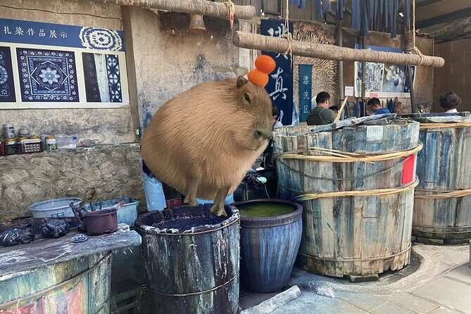 Zhoucheng Village Tie Dyeing Private Experience - Who Would Love This Tour?