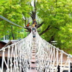 Zipline and ATV Skyline Adventure Phuket Include Pickup Transfer - The Optional ATV Ride: Rugged and Exciting