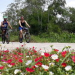 03- Days: Experience Mekong Delta By Bike & Boat from Saigon. - What to Expect and Why It Matters