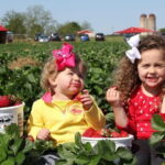 04 Days Tour - Sigiriya , Kandy and Nuwara Eliya - Practical Details and Value