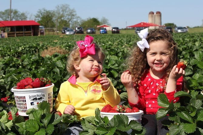 04 Days Tour - Sigiriya , Kandy and Nuwara Eliya - Practical Details and Value