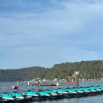 1.5 Hr Jet Ski Safari - Who Would Love This Tour?