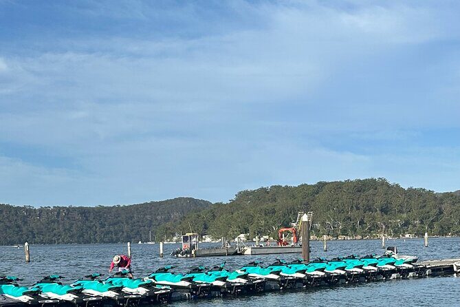 1.5 Hr Jet Ski Safari - Who Would Love This Tour?