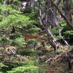 1-Day Adventure Hike to Hoei Cater on Mt. Fuji - Who Should Consider This Tour?