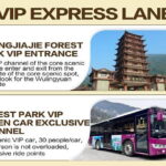 1 Day Avatar Mountain & Fores Park Group Tour with VIP Access - Practical Details: What You Need to Know
