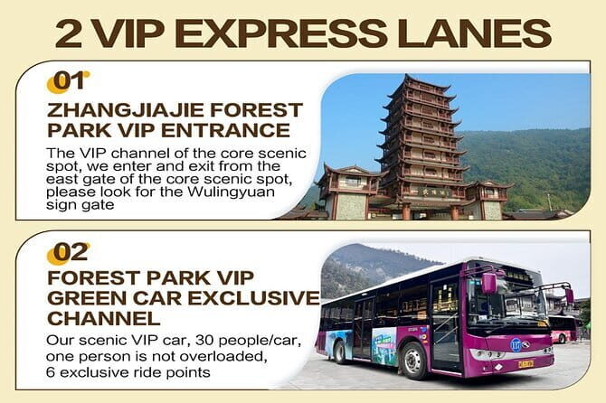1 Day Avatar Mountain & Fores Park Group Tour with VIP Access - Practical Details: What You Need to Know
