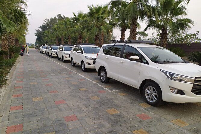 1-Day Excursion Golden Temple-Jallianwala-Partition Museum-Wagah - Authentic Reviews and Insights