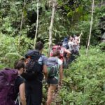 1 Day Experience of Bahorok - Practical Details and What to Expect