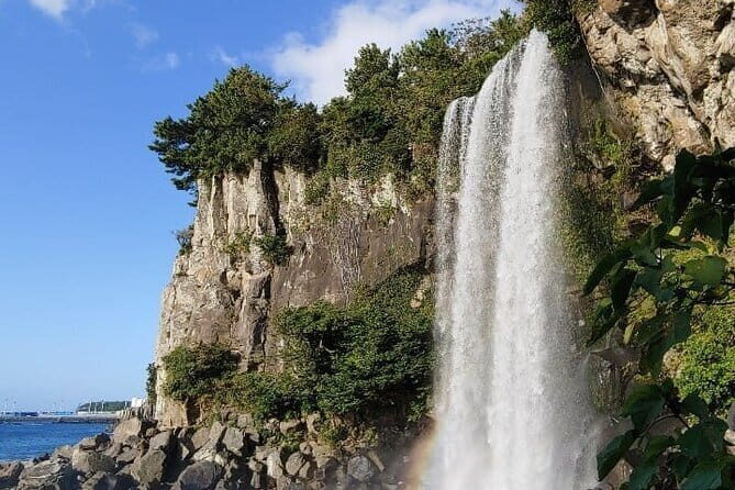 1 Day Free schedule Tour a lot of experince driver in jeju island - The Value of This Tour