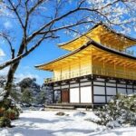 1 Day Kansai Tour from Osaka - The Practicalities: What You Need to Know