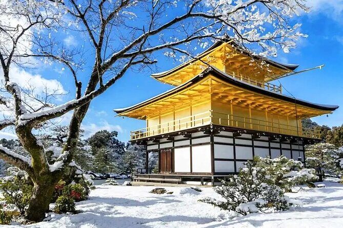 1 Day Kansai Tour from Osaka - The Practicalities: What You Need to Know