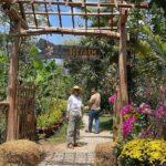 1 Day Land Tour Phu Quoc Northern and Kayaking - Discovering Phu Quoc’s North: A Well-Rounded Day Trip