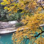 1-Day Mount Qingcheng and Dujiangyan Irrigation System Tour - Dujiangyan Irrigation System: An Engineering Masterpiece