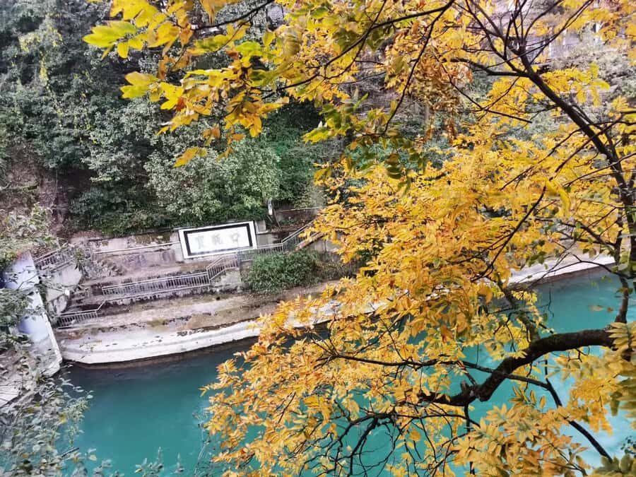 1-Day Mount Qingcheng and Dujiangyan Irrigation System Tour - Dujiangyan Irrigation System: An Engineering Masterpiece