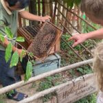 1-Day Northern Islands & Kayak Experience Tour - What’s Included and What to Keep in Mind