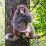 1-Day Private Tour to Tianmen Mountain & Furong Town Night Light - The Experience and the Guides