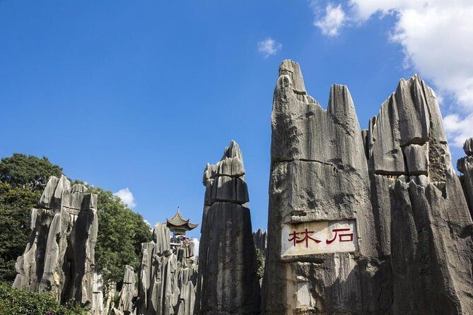 1-Day Private Tour:Stone Forest and Western Hill(Dragon Gate) from Kunming - Transportation and Comfort