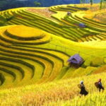 1 Day Sapa Tour Explore Y Linh Ho And Lao Chai And Ta Van Village - Who Would Love This Tour?
