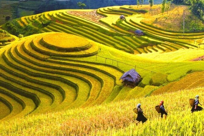 1 Day Sapa Tour Explore Y Linh Ho And Lao Chai And Ta Van Village - Who Would Love This Tour?
