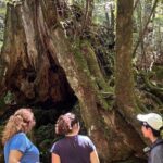 1 Day Shiratani Unsuikyo Adventure - Analyzing the Value and Experience