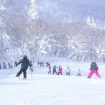 1 Day Ski Tour Package from Sapporo Station - What to Expect from the Itinerary