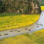 1 Day Small Group Tour in Ninh Binh from Hanoi - What to Expect at Each Stop