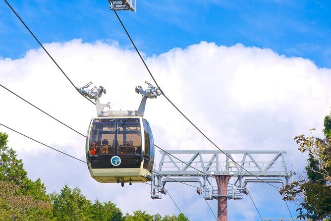 1 Day Tour to Mt. Fuji and Hakone from Tokyo - Visiting Mt. Fuji’s 5th Station