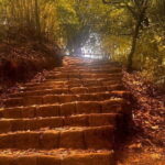 1-Day Trip to Kathmandu Hiking - Jamacho Hill 5-6 hrs. - The Hike: What to Expect and Why It Matters