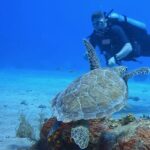 1 DPV dive at Director's Bay in Curacao - Final thoughts: The value of the DPV adventure in Curacao
