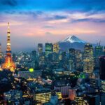 10-Day Private Tour of Tokyo, Hakone, Kyoto and Osaka - Who This Tour Is Best For