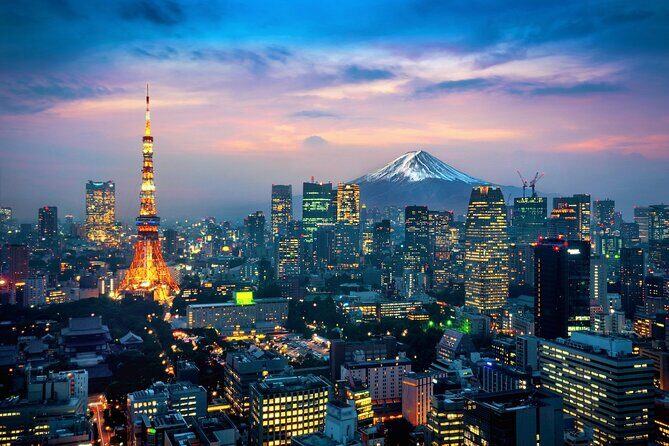 10-Day Private Tour of Tokyo, Hakone, Kyoto and Osaka - Who This Tour Is Best For