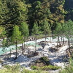 10 Days Langtang Valley and Gosaikunda Trek from Kathmandu - Day-by-Day Breakdown: What to Expect