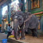 10 Days Private Car and Driver Tour of Tamilnadu & Kerala !! - Itinerary Breakdown: What to Expect at Each Stop